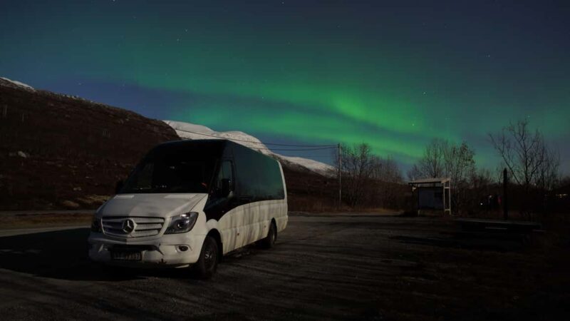 Tromsø: Northern Lights Tour in Glass Minibus with Dinner - The Experience of Roasting Marshmallows and Enjoying Hot Drinks