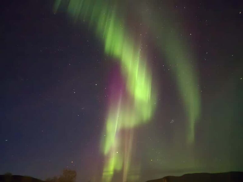 Tromsø: Northern Lights Tour in Glass Minibus with Dinner - The Practicalities of the Tour: Meeting, Duration, and Accessibility