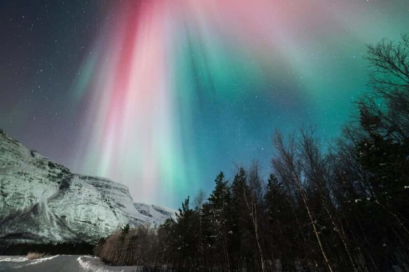 Tromsø: Northern Lights tour, local experts, free photos - The Campfire and Food Experience