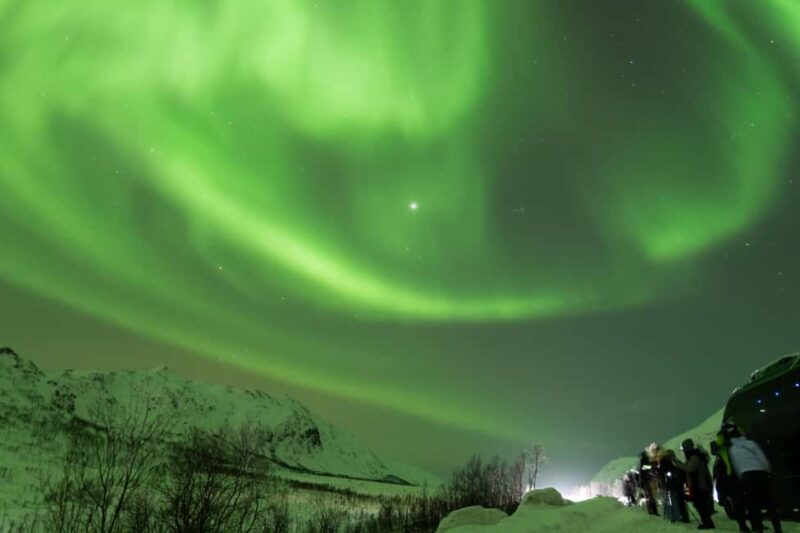 Tromsø: Northern Lights tour, local experts, free photos - Timing, Duration, and Flexibility