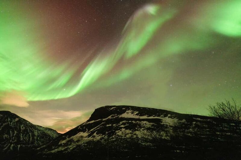 Tromsø: Northern Lights tour, local experts, free photos - Cost-Effectiveness and Overall Value