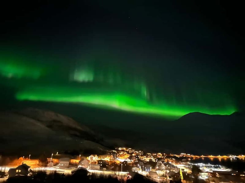 Tromsø: Northern Lights Tour - The Flexibility of a Guided Driving Tour