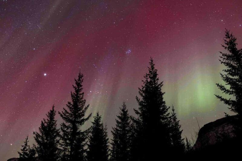 Tromsø: Northern Lights Tour with Dinner and Native Guide - Discover the Tromsø Northern Lights Tour with Dinner and Sami Guide