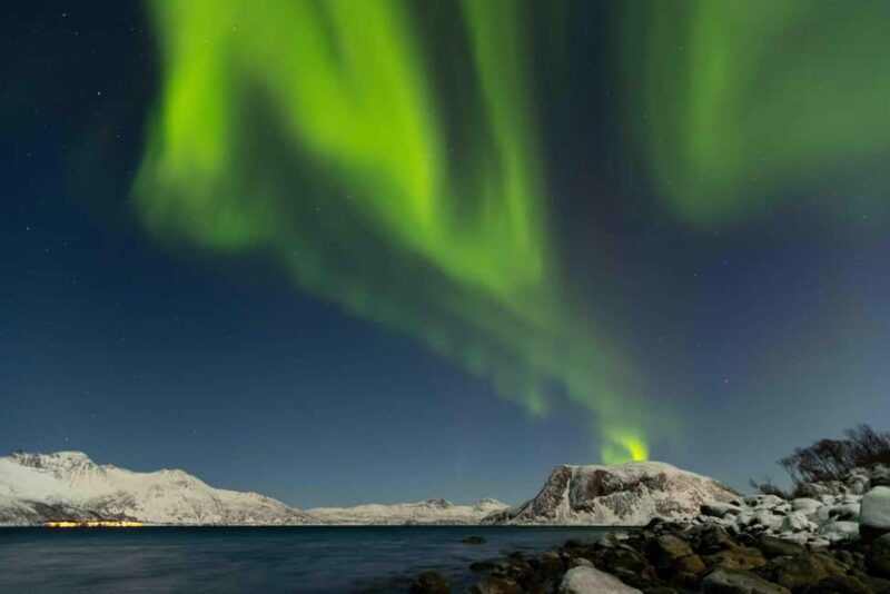 Tromsø: Northern Lights Tour with Dinner and Native Guide - Authentic Arctic Cuisine and Local Drinks