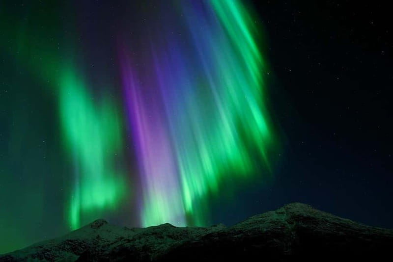 Tromsø: Northern Lights Tour with Free Professional Photos - Meet Your Guide Alejandro at Scandic Ishavshotel