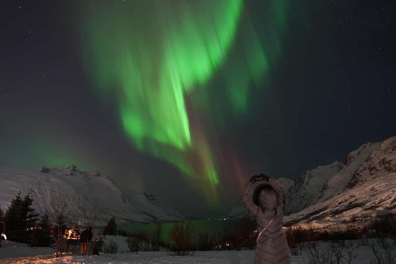 Tromsø: Northern Lights Tour with Free Professional Photos - Why This Aurora Tour Offers Good Value