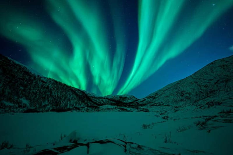 Tromsø: Northern Lights Tour with Hot Drinks and Snacks - Comfortable Transportation for Arctic Chasing