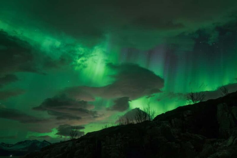 Tromsø: Northern Lights Tour with Local Stories & Photos - What Sets This Tour Apart from Similar Aurora Hunts