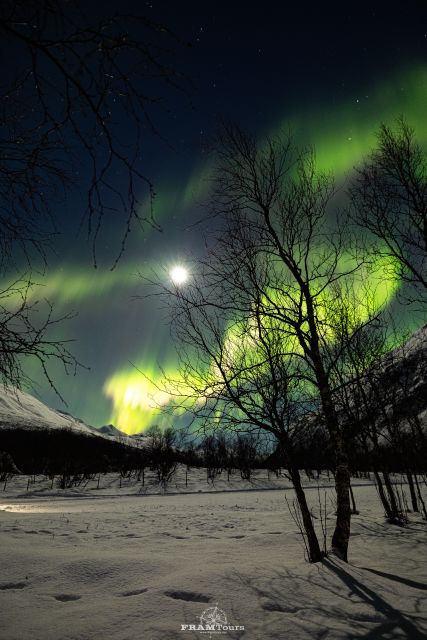 Tromso: Northern Lights Tour with Photographer - Photography Support with a Skilled Professional