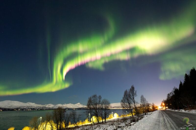 Tromsø: Northern Lights Trip with Campfire and Snacks - Why This Tour Stands Out