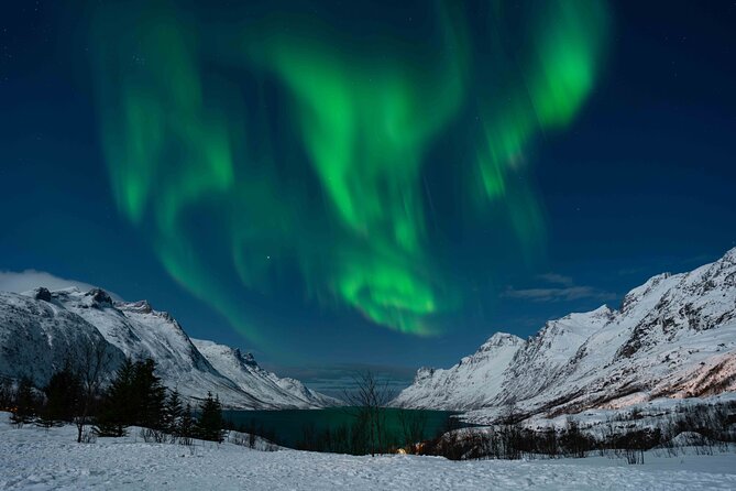 Tromsø Northern Lights with Campfire and Professional Photos - Key Points