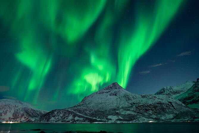 Tromsø Northern Lights with Campfire and Professional Photos - What’s Included in the Tour Package?