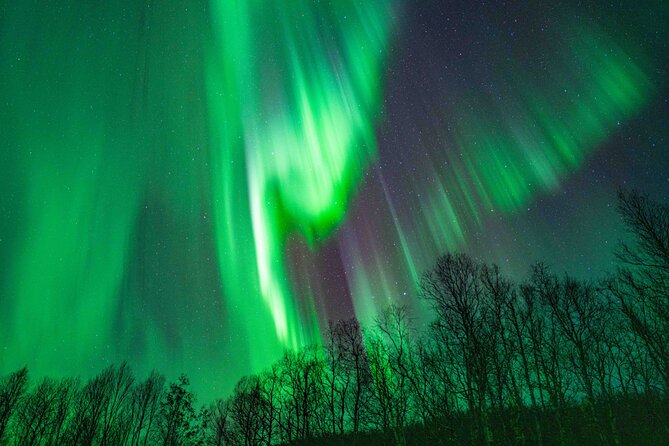 Tromsø Northern Lights with Campfire and Professional Photos - Practical Considerations and Physical Requirements