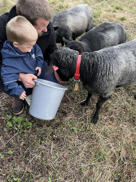 Tromsø: Norwegian farmvisit with guide - Tromsø: Norwegian farmvisit with guide — a cozy, hands-on experience in Norway