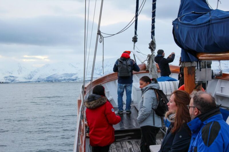 Tromsø: Polar Fjord Cruise on a Luxury Yacht with Lunch - Practical Details and Booking Flexibility