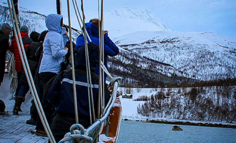 Tromsø: Polar Fjord Cruise on a Luxury Yacht with Lunch - The Sum Up: An Arctic Voyage with Scenic Views and Gourmet Food