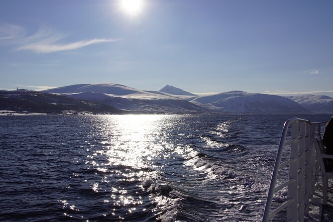 Tromsø: Polar Fjord & Fishing Cruise with Lunch included - Delicious Fish Soup and Hot Drinks