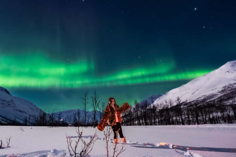 Tromsø: Premium Northern Lights Tour Small Group 8 Guests - Pickup and Drop-Off from Tromsø and Nearby Hotels