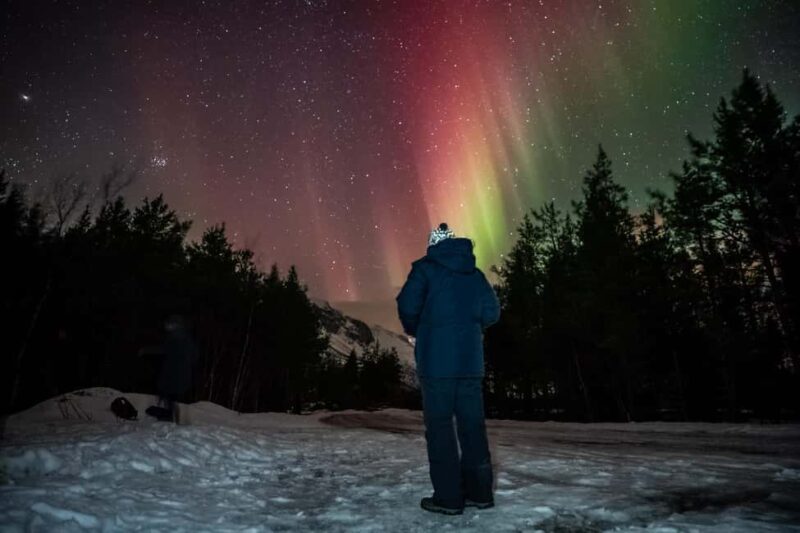 Tromsø: Premium Northern Lights Tour Small Group 8 Guests - Camera Tips and Professional Photos