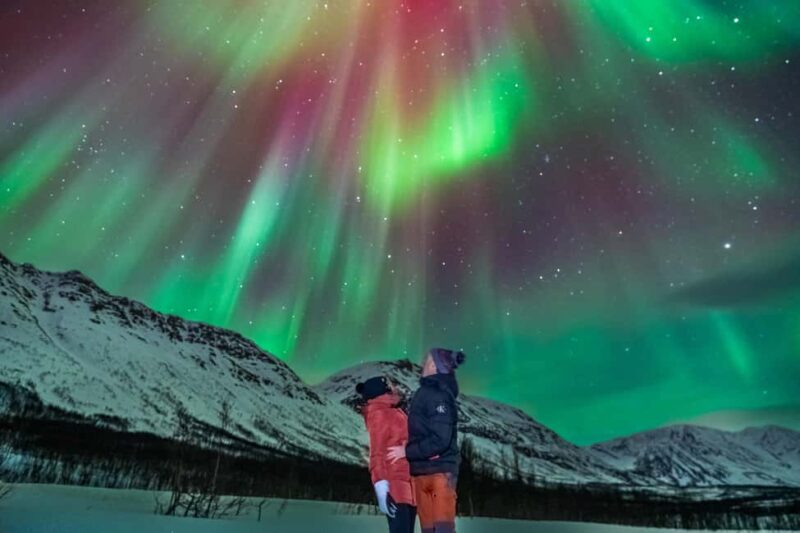 Tromsø: Premium Northern Lights Tour Small Group 8 Guests - The Night Sky and Stargazing
