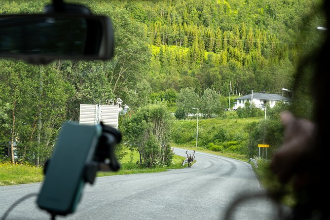 Tromsø Private Airport-Hotel Transfer Service up to 13 guests - Who Should Consider This Transfer Service