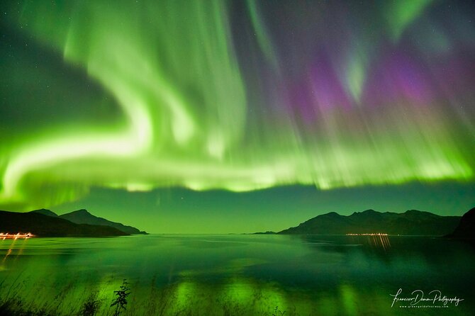 Tromso: Private Aurora Chase by Minivan - The Role of the Guide in Aurora Hunting