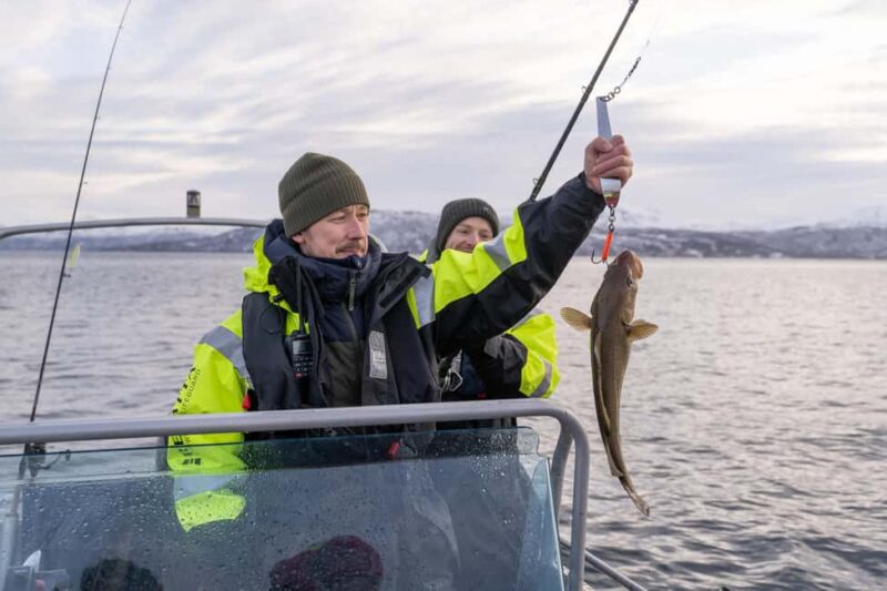 Tromsø: Private Fishing Tour - Key Points