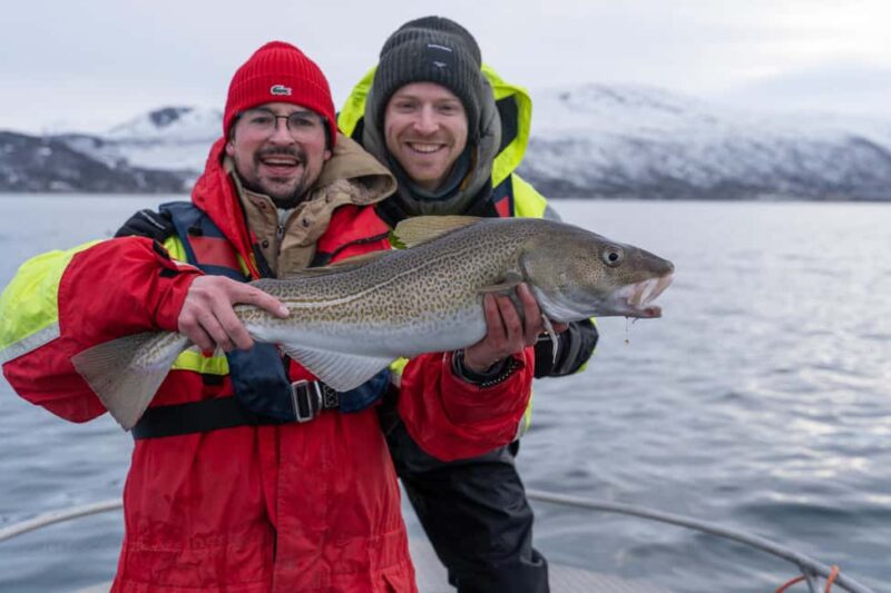 Tromsø: Private Fishing Tour - Fishing in the Pristine Waters Near Tromsø
