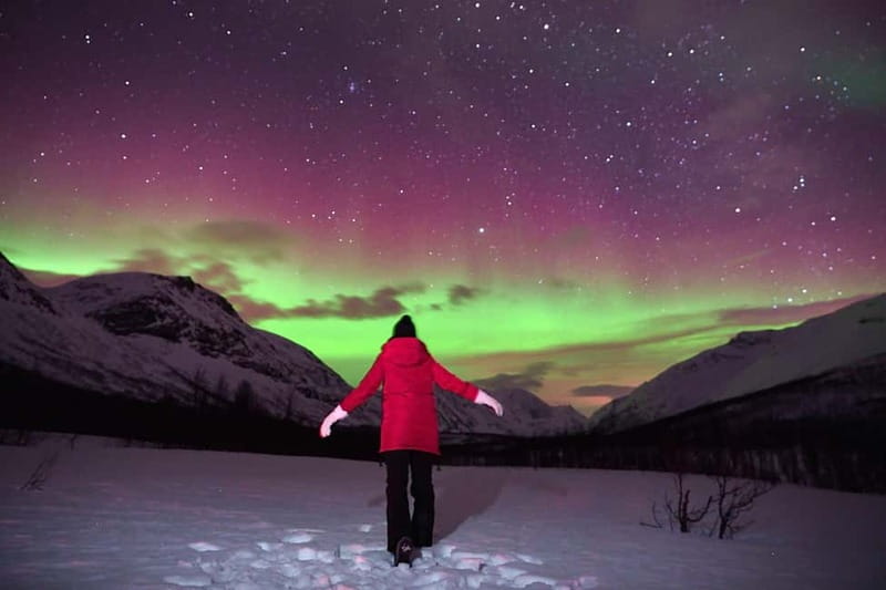 Tromsø: Private Northern Lights Tour with Pro Photographer - Key Points