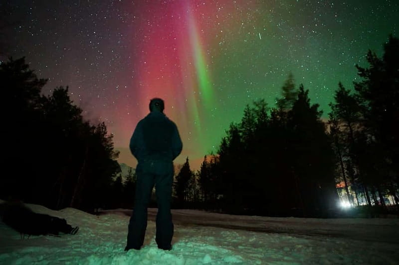 Tromsø: Private Northern Lights Tour with Pro Photographer - What’s Included and What to Expect in Terms Comfort and Support