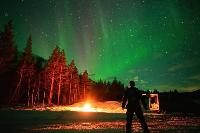 Tromsø: Private Northern Lights Tour with Pro Photographer - Final Thoughts: A Tailored Northern Lights Adventure in Tromsø