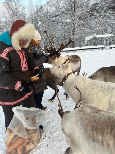 Tromsø: Reindeer Experience at a Sami Camp - Practical Details: Logistics and Accessibility