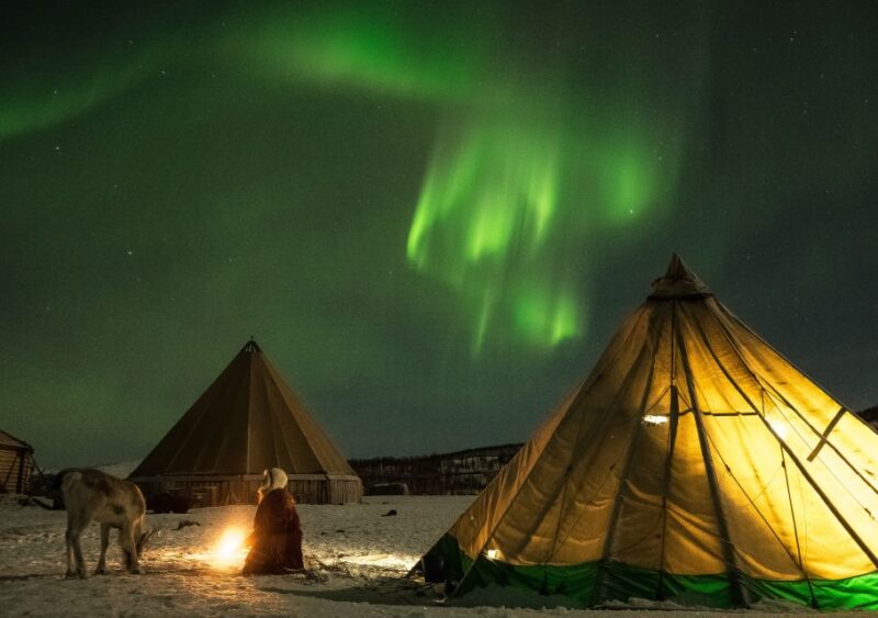 Tromsø: Reindeer Feeding with Chance of Northern Lights - Key Points