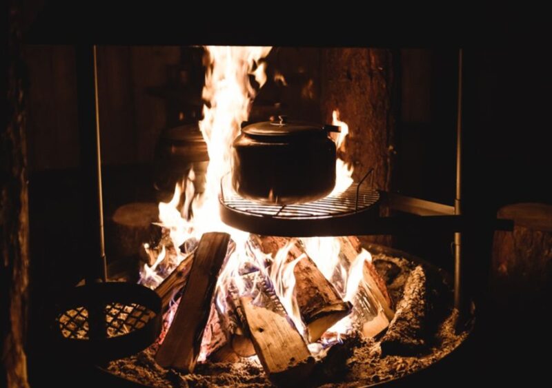 Tromsø: Reindeer Feeding with Chance of Northern Lights - The Experience for Different Travelers