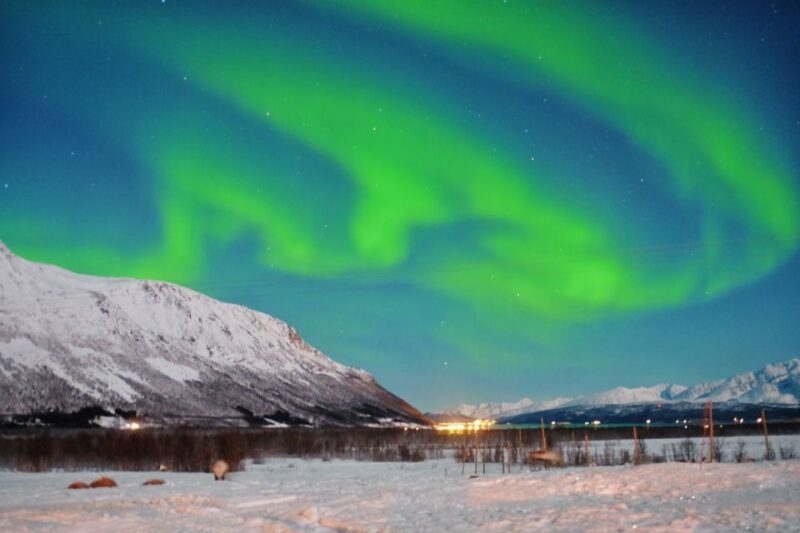 Tromso: Reindeer Sledding with Chance to See Northern Lights - Customer Feedback: High Praise for Guides and Experience