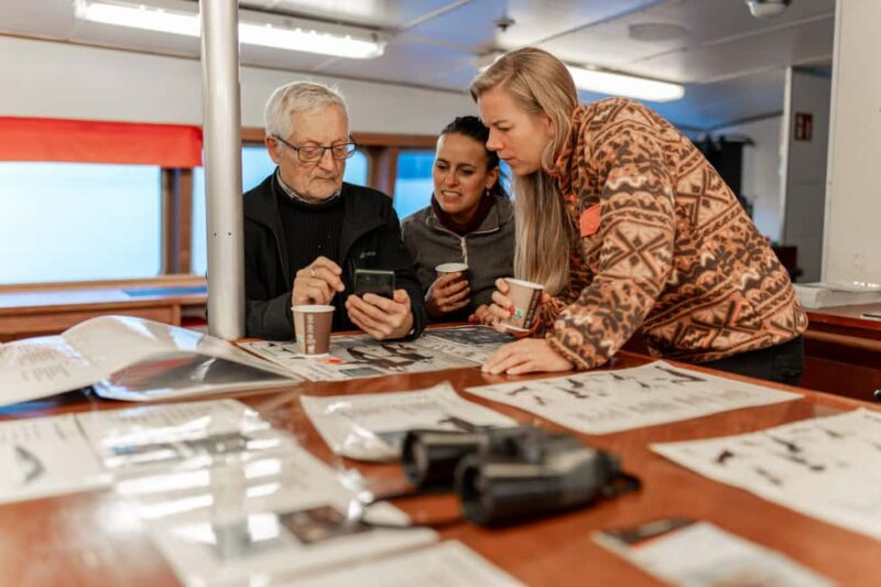 Tromsø: Responsible Whale Watching Cruise Aboard MS Alba - The Whale Pass Offers Peace of Mind for Unsuccessful Sightings