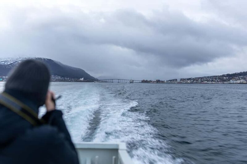 Tromsø: Responsible Whale Watching Cruise Aboard MS Alba - Meeting Point and Practical Tips for a Smooth Departure