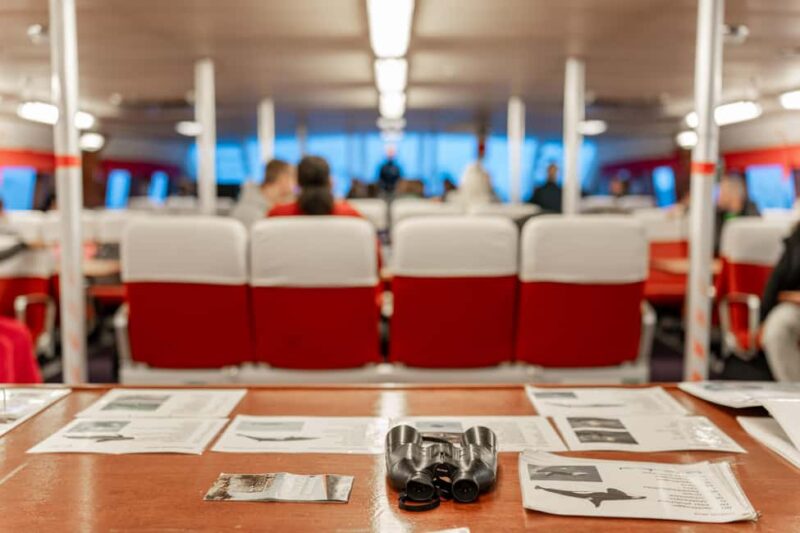 Tromsø: Responsible Whale Watching Cruise Aboard MS Alba - Reviews Highlight the Quality of the Guides and Sightings