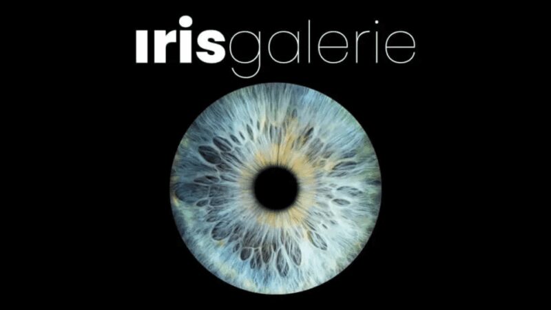 Tromsø: Reveal Your Eye Experience at the Iris Galerie - Discover the Unique Art of Your Eyes at Tromsø’s Iris Galerie