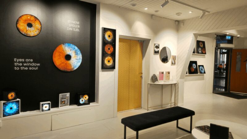 Tromsø: Reveal Your Eye Experience at the Iris Galerie - How the Iris Reveal Process Works in Tromsø