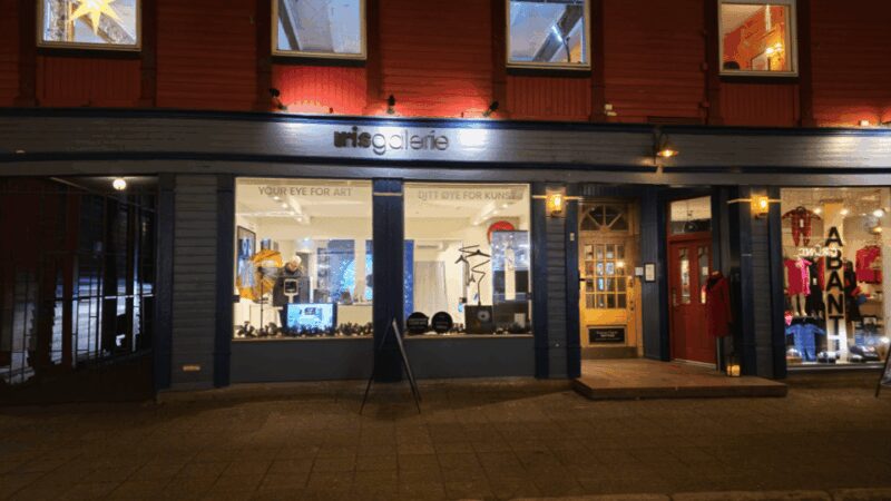 Tromsø: Reveal Your Eye Experience at the Iris Galerie - The Artwork and Print Options