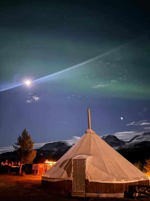 Tromsø: Sami Culture & Reindeer with Transport - Final Thoughts on the Tromsø Sami & Reindeer Tour