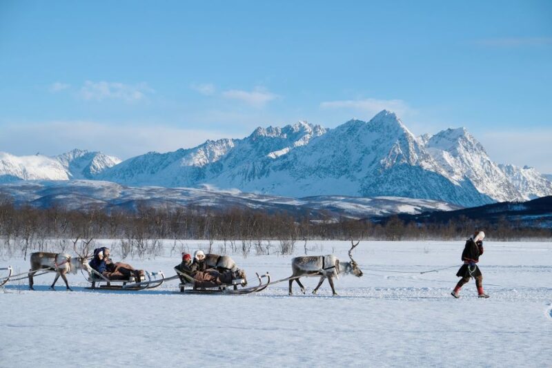 Tromsø: Sámi Reindeer Sledding and Sami Cultural Tour - Reviews and Overall Satisfaction