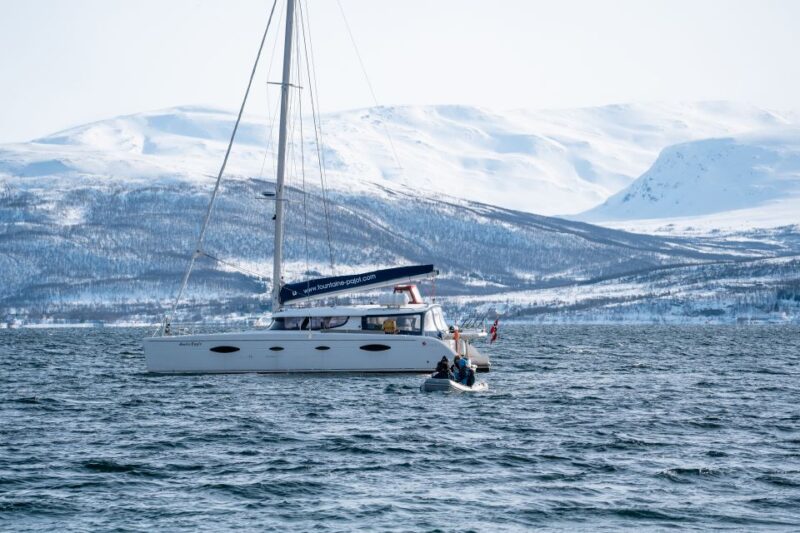 Tromso: Sightseeing Cruise by Catamaran with Snacks & Drinks - The Scenic Beauty of Tromso’s Islands