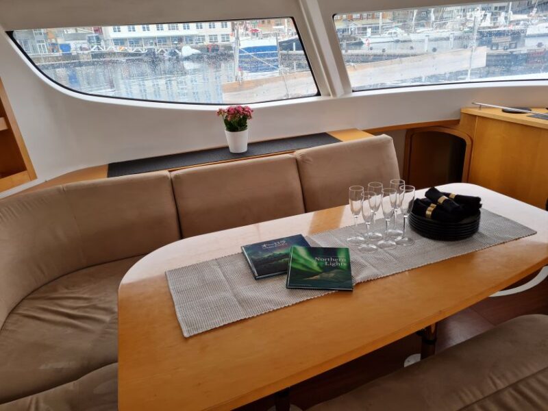 Tromso: Sightseeing Cruise by Catamaran with Snacks & Drinks - Suitable For Travelers Who Value Comfort and Stories