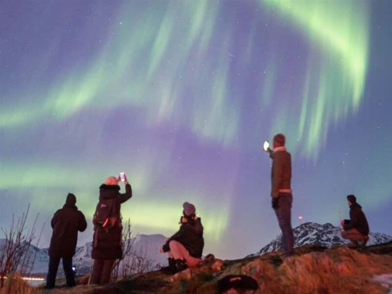 Tromso: Small Group Aurora Chase with Warranty - Tromso: Small Group Aurora Chase with Warranty — An Authentic Arctic Northern Lights Experience