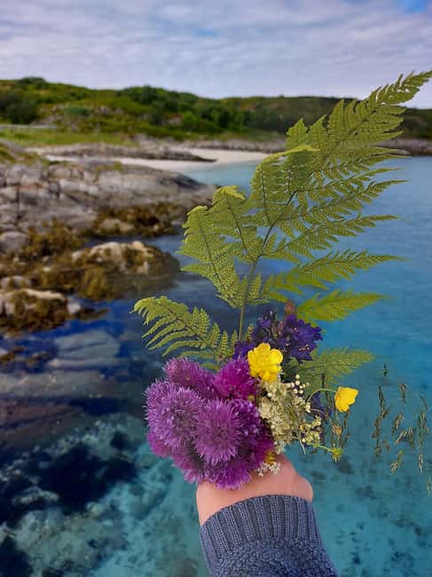 Tromsø: Sommaroy Fjord Tour with Lunch Option - Visiting the Iconic Sommarøy Island