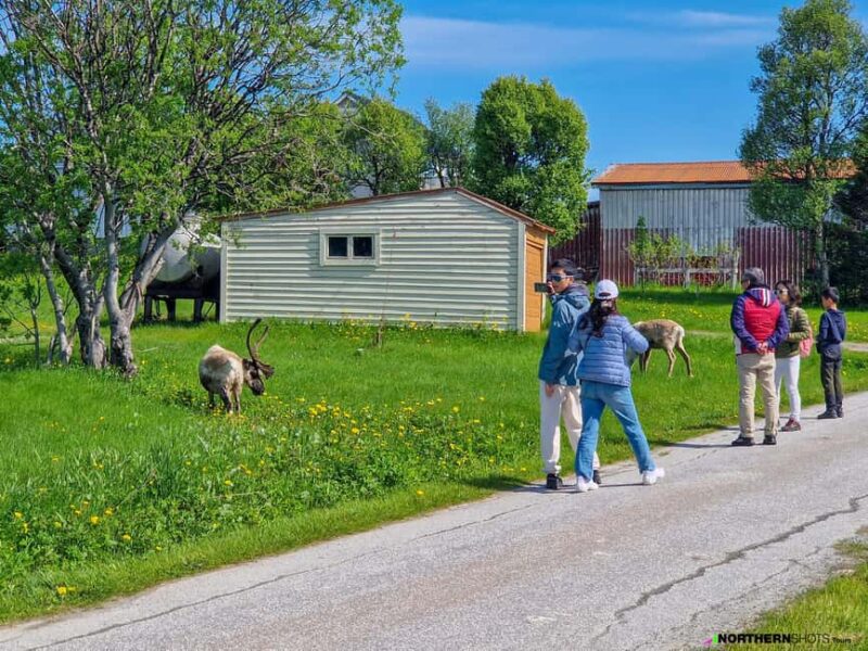 Tromsø: Sommaroy Fjord Tour with Lunch Option - The Food and Beverage Options on the Tour