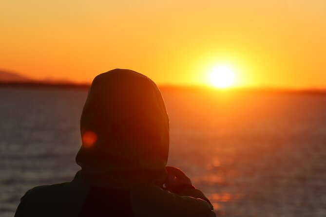 Tromsø & Sommarøy - Private coastal tour with a local - Warm Drinks and Snacks in Arctic Settings