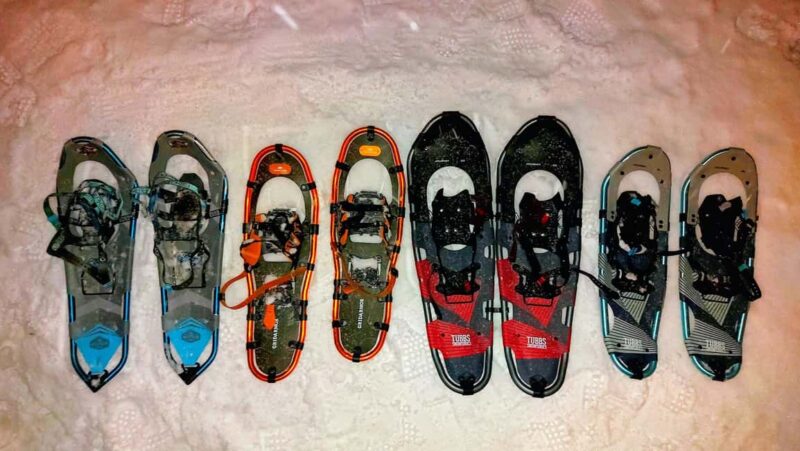 Tromsø Street to Wilderness: Guided Snowshoe Hike - Who Will Enjoy the Tromsø Snowshoe Tour?